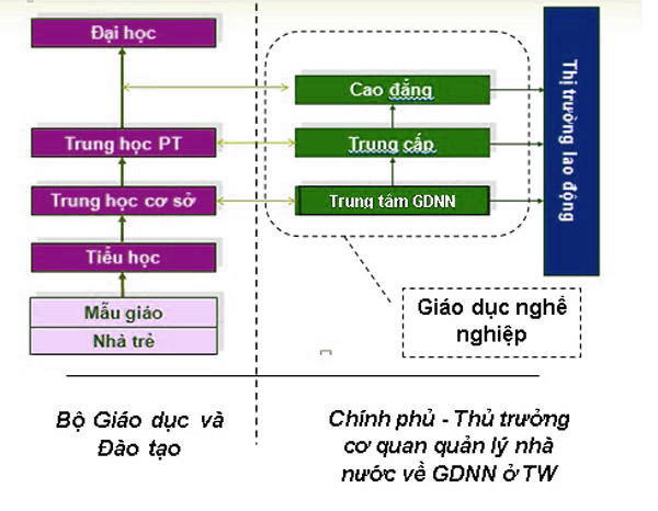 Cao đẳng nghề hay cao đẳng chuyên nghiệp, trung cấp nghề hay trung cấp chuyên nghiệp?